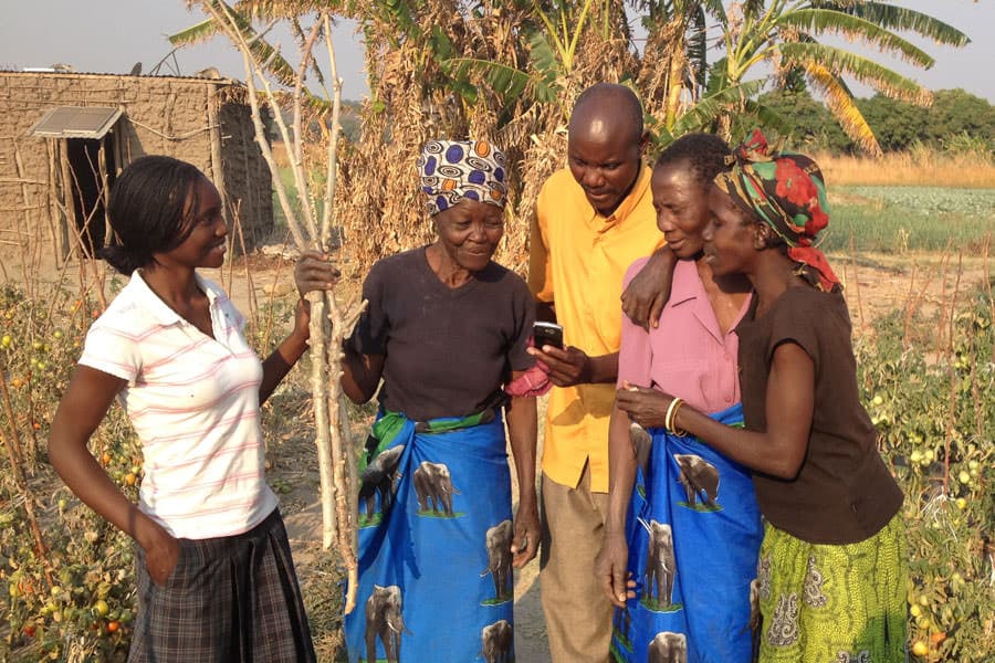 Tech tames aflatoxins for shillings
