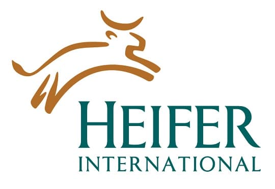 NGO looking to train young Kenyan dairy, poultry, livestock agripreneurs