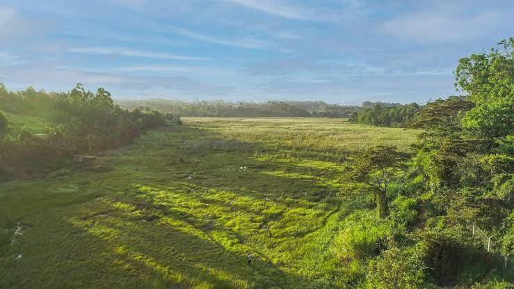 Farmers urged to adopt Ondiri Wetland Model to curb soil erosion