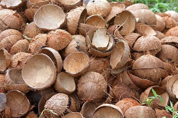 Mombasa Company invests in coconut husk briquettes to save forests