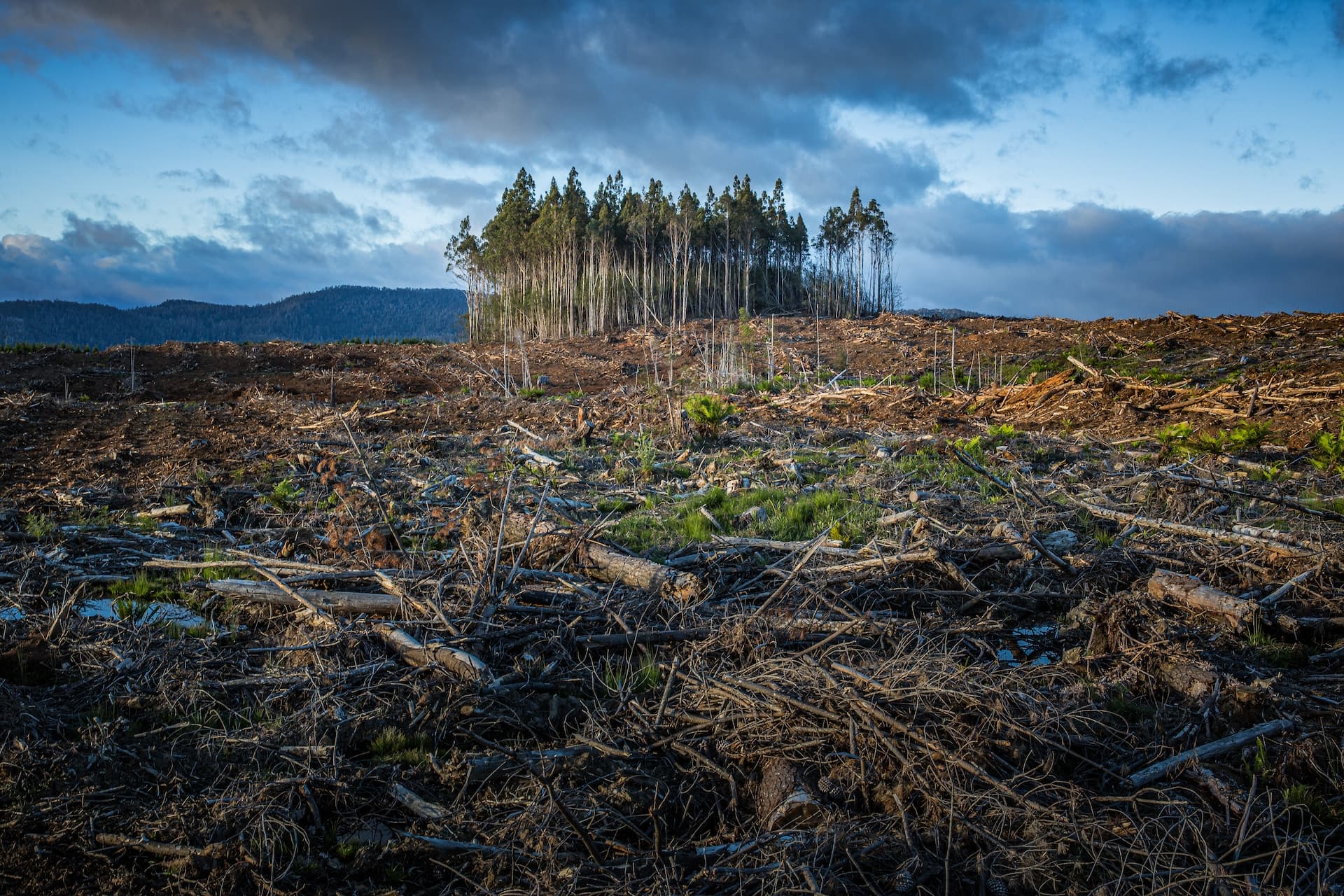 Counties rise to climate challenge by enacting laws that shape local climate solutions