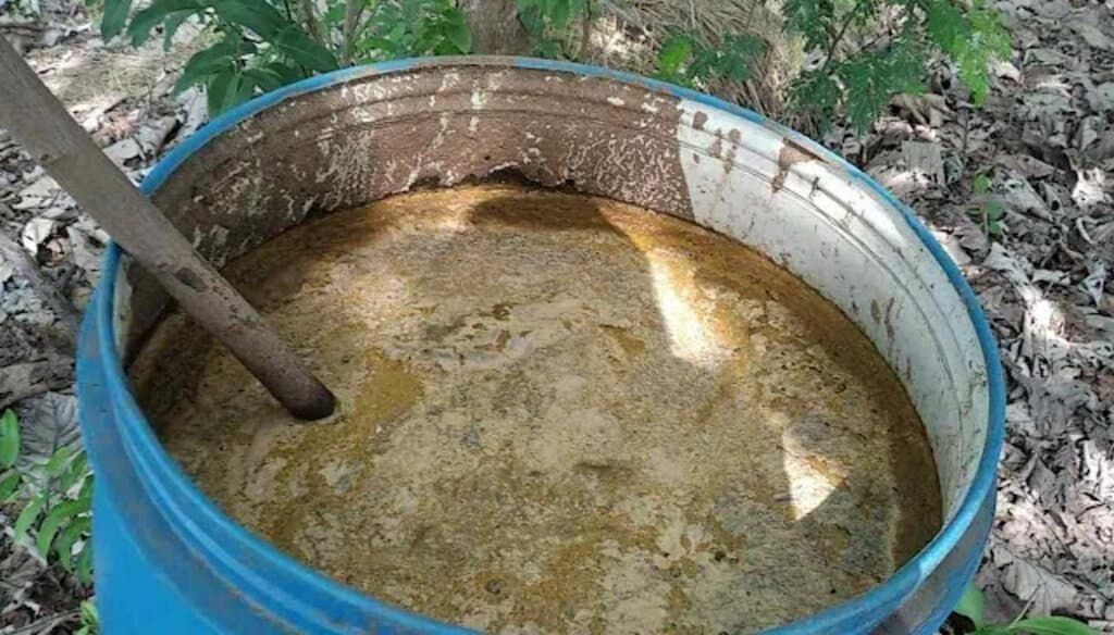 The Indian medicine fertiliser doubling flower companies’ exports