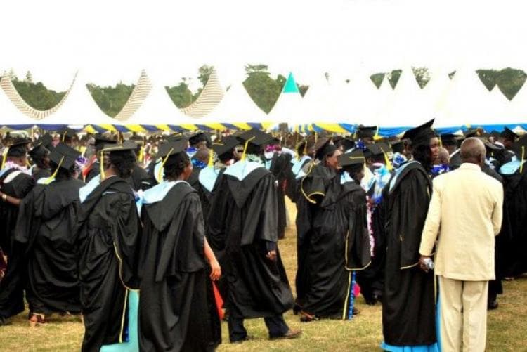 KUCCPS opens portal for university and TVET placement: How to apply