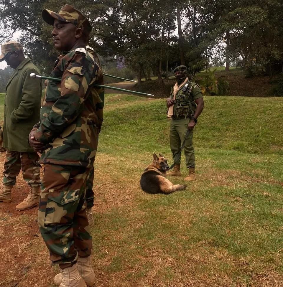 KFS accuses Muthaiga Golf Club of illegally occupying Karura Forest