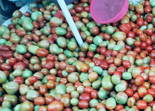 Tomato price surge after January glut leaves markets strained