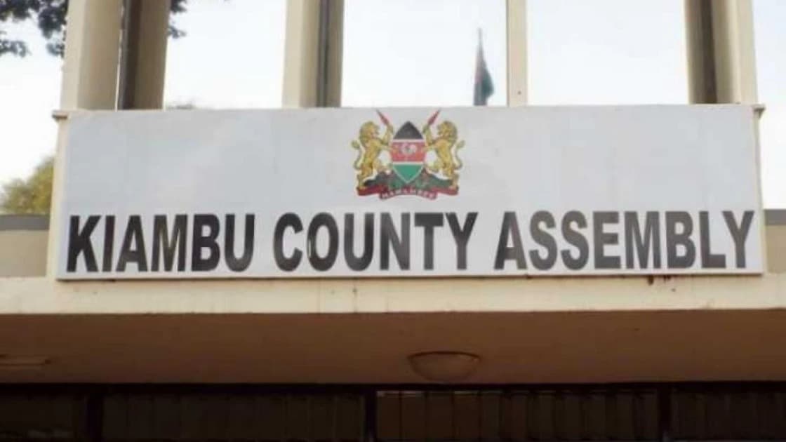 Ex-Kiambu County official fined Ksh1.06M for falsifying KCSE certificate