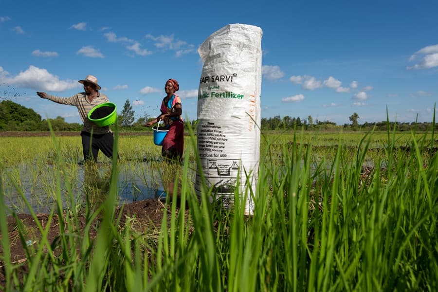 Mwea company turns rice waste to 3X cheaper high yield organic fertiliser