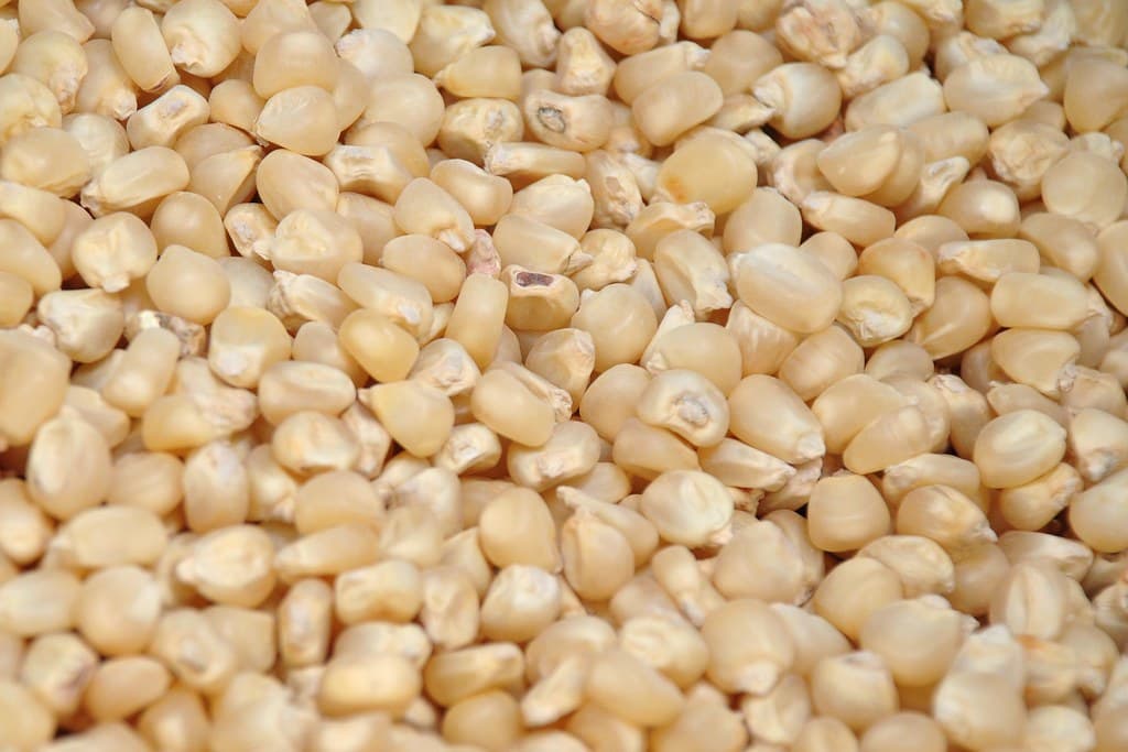Kenya running out of maize & wheat stocks