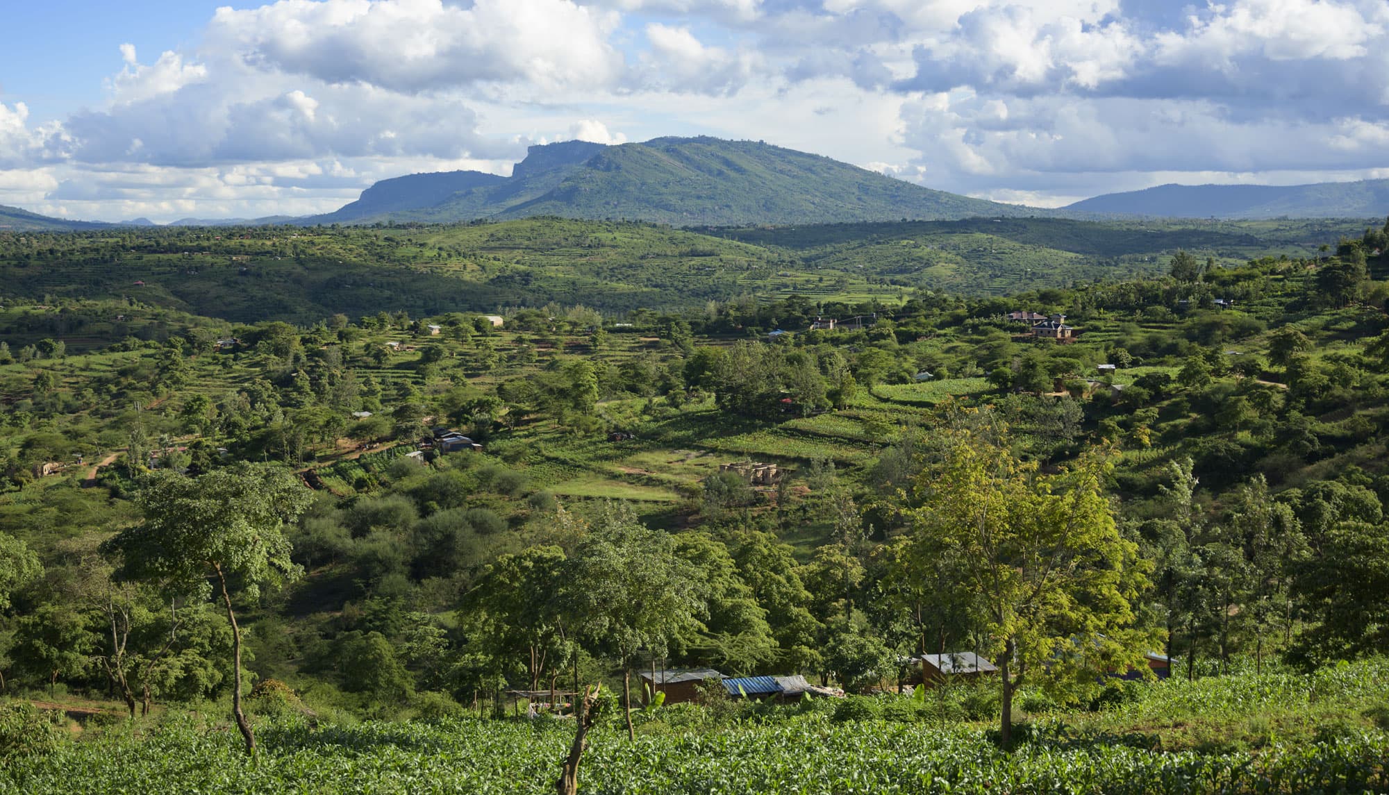 Revitalising Africa’s soils and landscapes is key for enhancing our food security and climate resilience