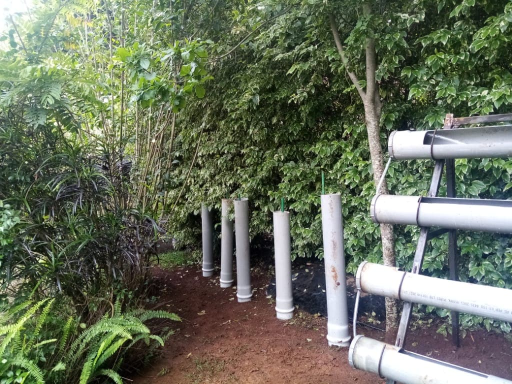 Technical college sets up students as hydroponic farmers for free