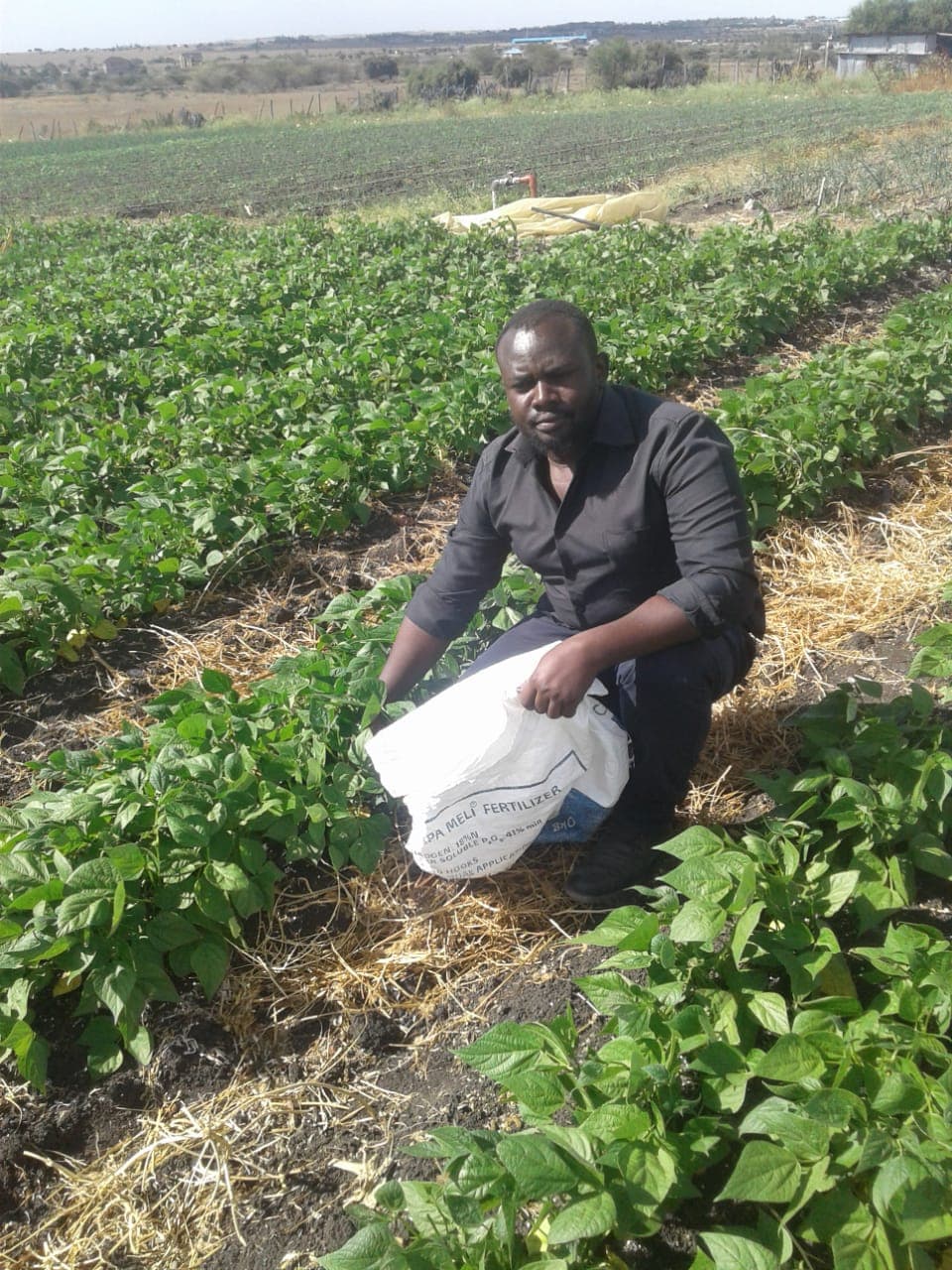 University drop out makes over Sh0.5m net income a season from French beans farming