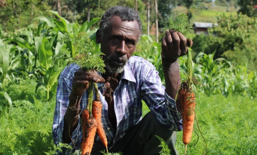 Francis Ngatia: Laikipia farmer raking millions from organic carrot farming