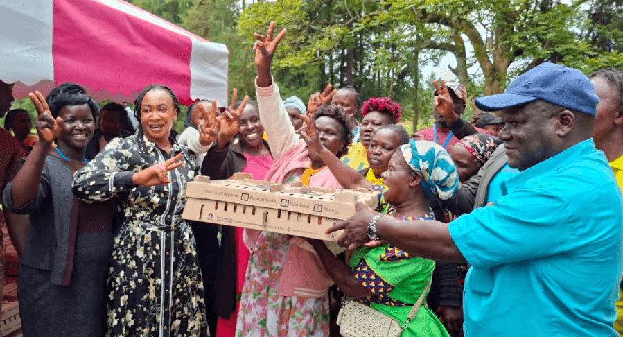 Govt distributes 4,000 chicks to improve livelihoods in Trans Nzoia