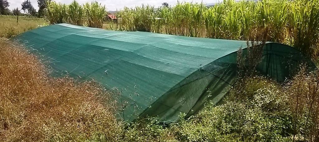 Nyeri farmer saves over Sh6000 in irrigation cost with mini dam construction