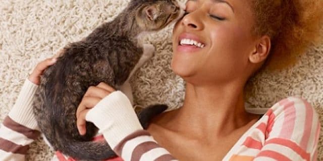 Single Lady In Nairobi: When Her Cats Met Sam And Her Night Didn’t Go As Planned