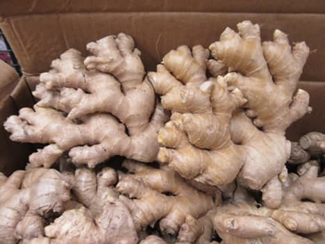 An acre of ginger delivers Sh250,000 profits in six months