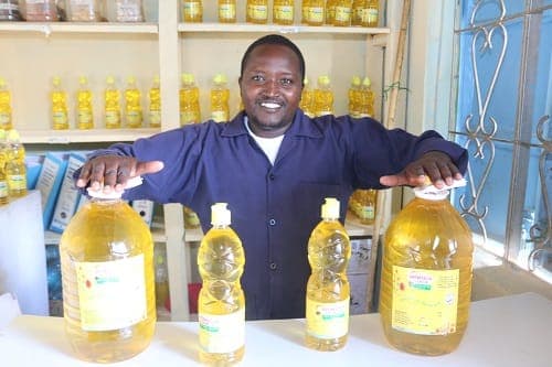 FarmBizAfrica seeks hundreds of farmers to sell sunflowers to new processors