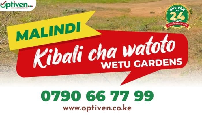 SECURING THE FUTURE: Kibali Cha Watoto Wetu Gardens