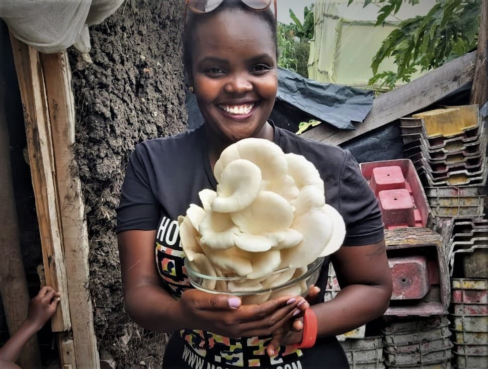 FarmBiz TV:Mushrooms from beginner to advanced create higher earnings with more skills.