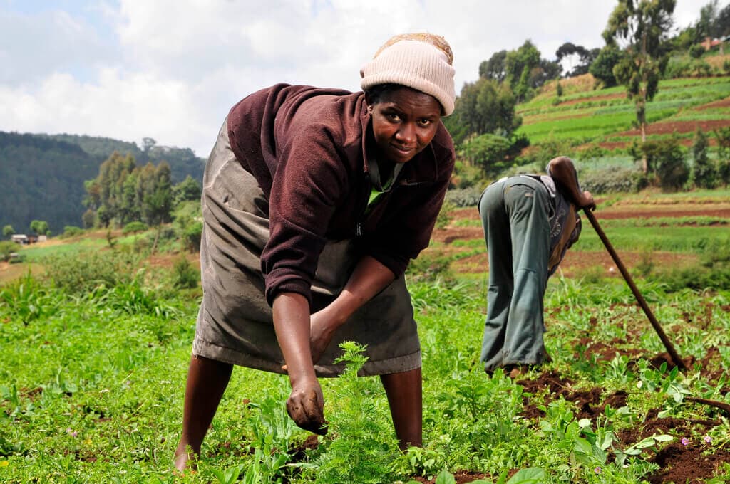 Lucky or unlucky: Learn how much your county cares about agriculture