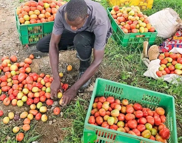 Young entrepreneurs receive loans to boost their businesses