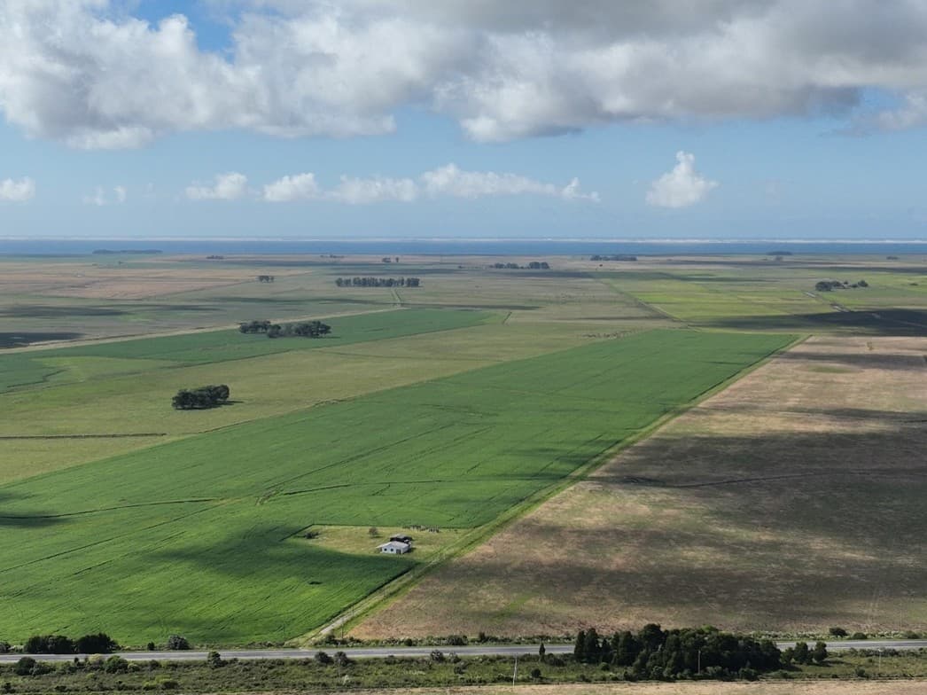 Statkraft Commits to 280 MW Gran Sul Wind Project in Southern Brazil