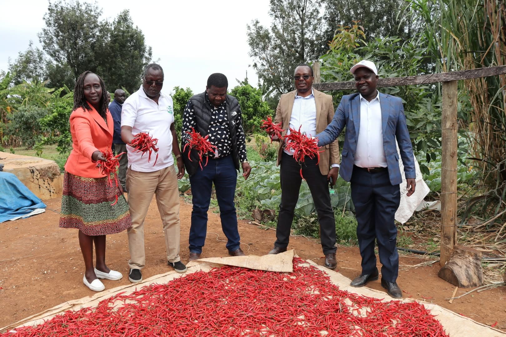JOSCO farm hailed as model of agricultural innovation in Uasin Gishu