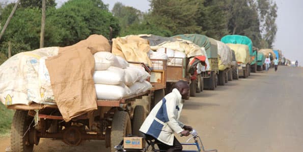 G-Soko and warehouses save farmers over 30 per cent grain loss
