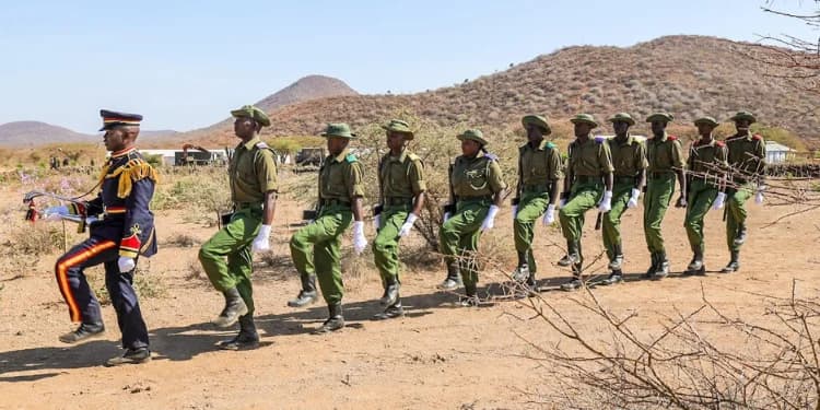 How to Join the National Police Reserve in Kenya: Requirements, Training and Salary