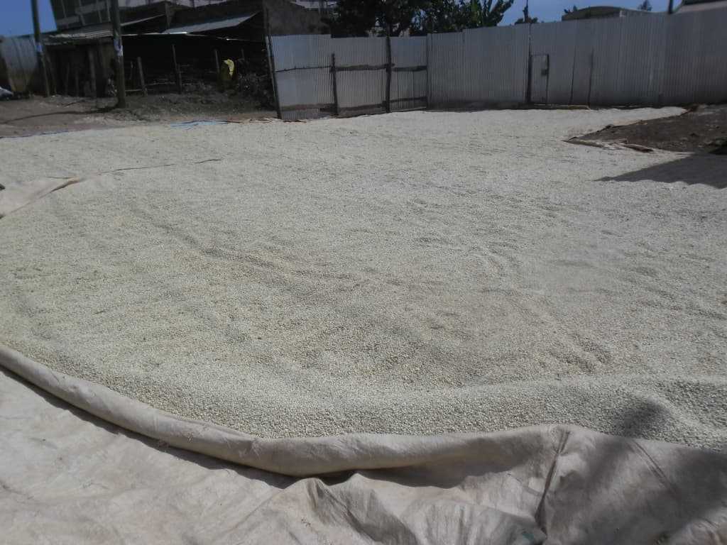 Government to dry maize for farmers to stem losses