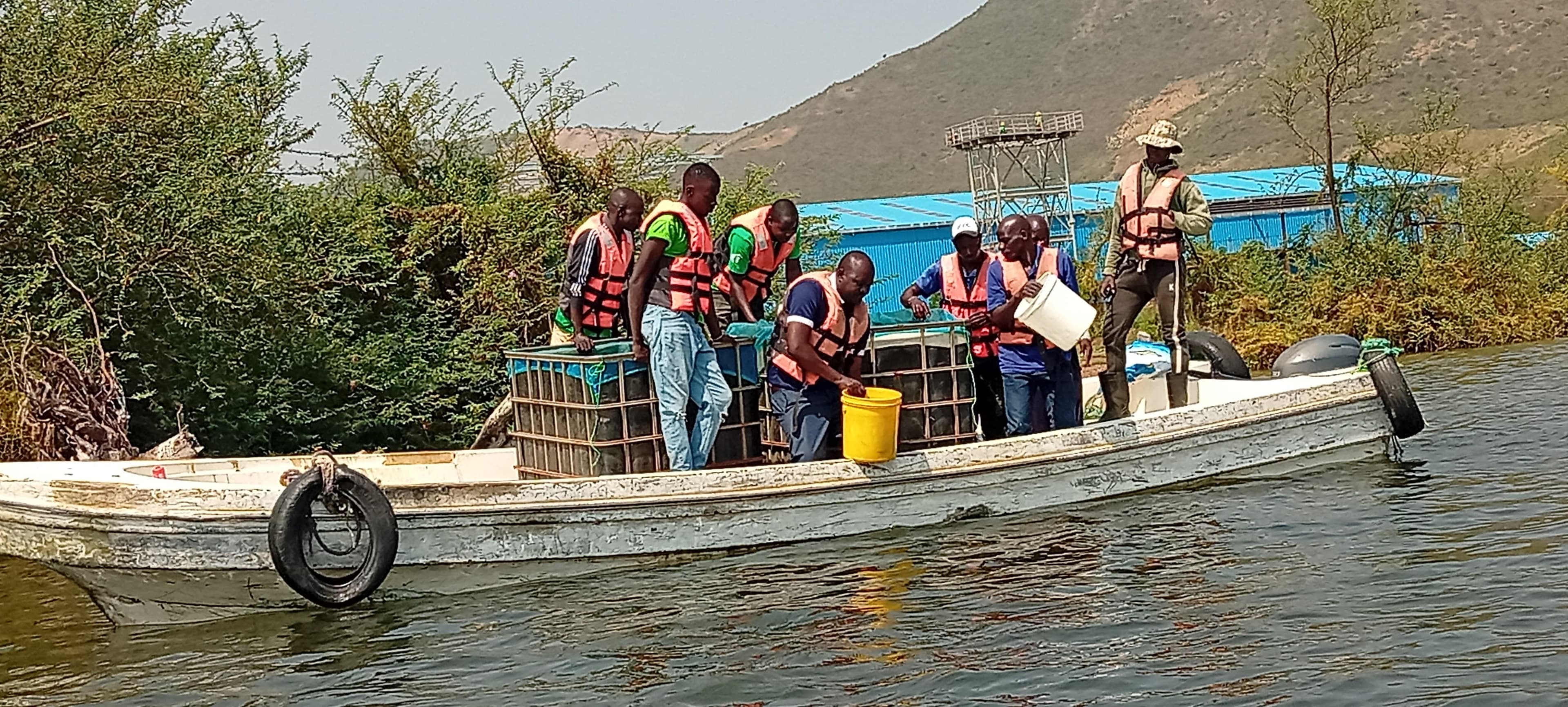 Efforts continue to revive native Tilapia in Homa Bay