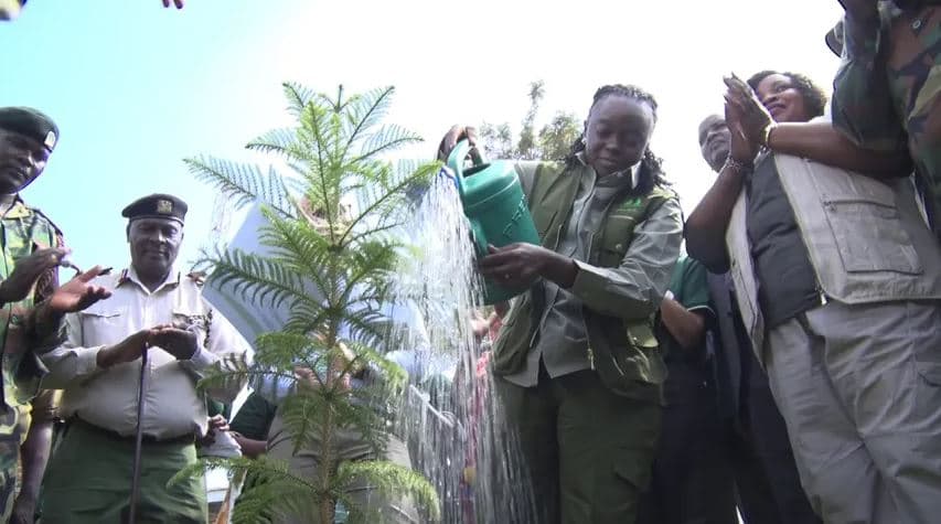 Kenya’s Green Revolution: 783 Million Trees Planted as Govt Pushes Towards 15 Billion Goal