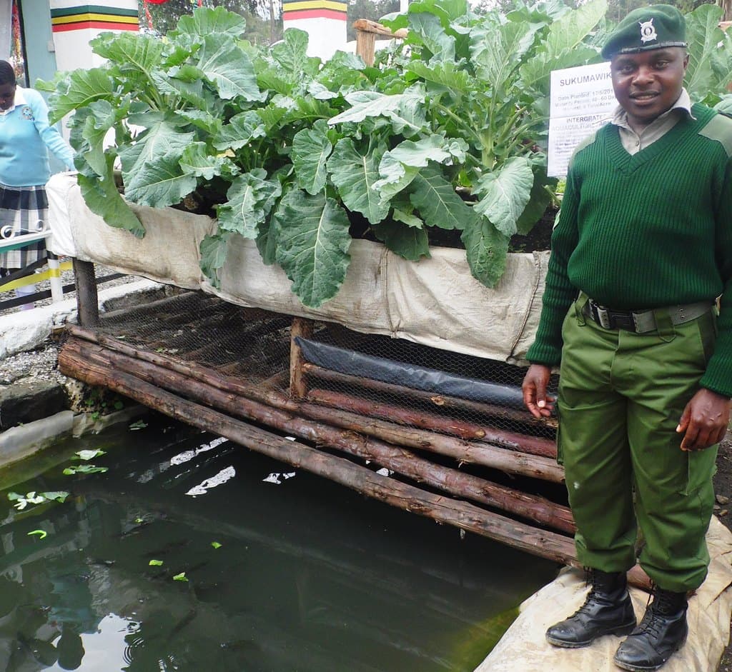 Prisons officer helps farmers set up integrated backyard fishponds