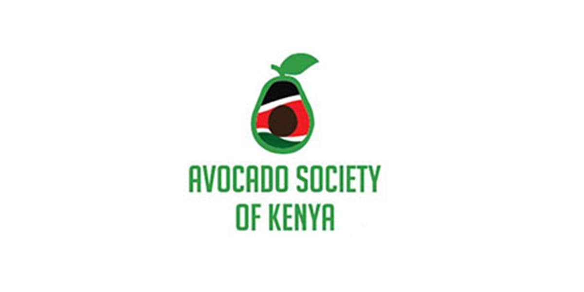 New platform helps link avocado farmers to local and export buyers