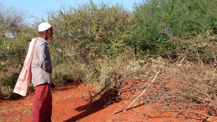 Discovery of 50 old graves in Marsabit sparks historical investigation