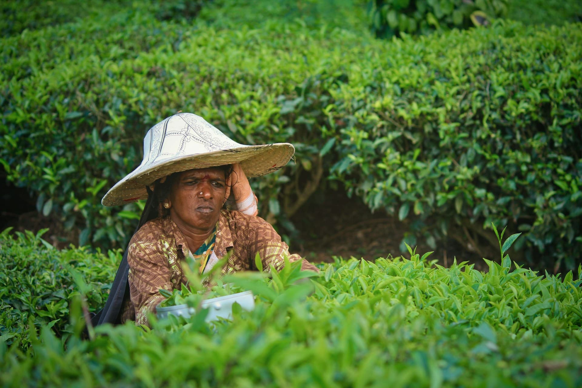 We need tailored solutions to empower women in African agribusiness
