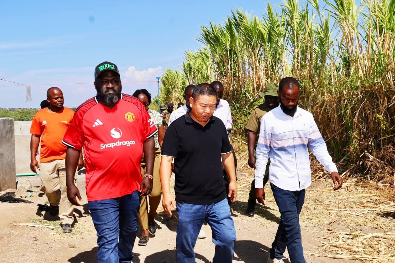 Senate Sails to the Rescue in Hoteliers Row With Chinese Fish Cagers