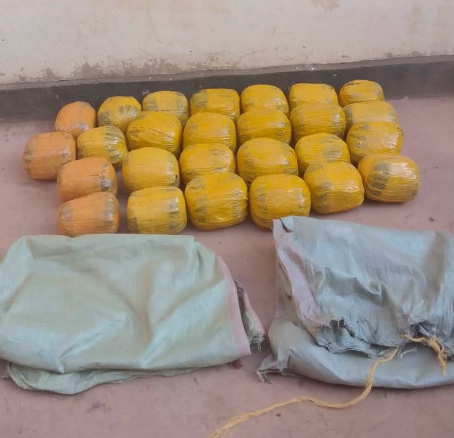One arrested as detectives seize bhang worth Sh1.19 million in Meru, Kilifi