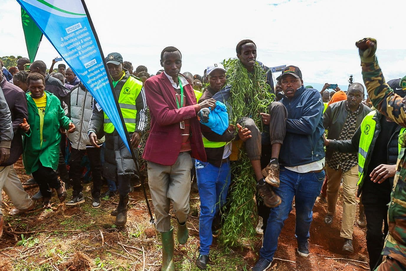 Hillary planted 23,326 trees in 24 hours. Do we accept the challenge?