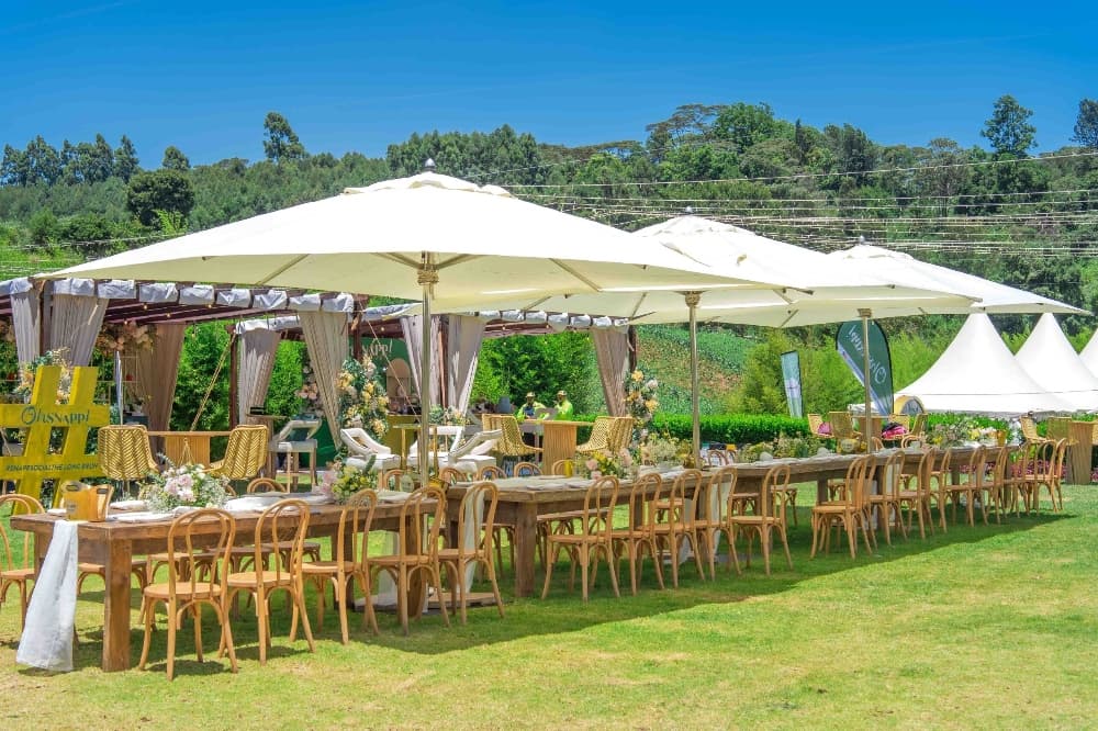 Kenya Breweries Limited unveils Snapp Dry Cider at exclusive Snapp Socials Brunch