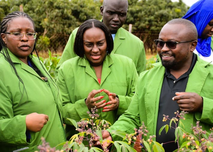 Maintain stringent biosafety protocols in confined field trials, urges NBA