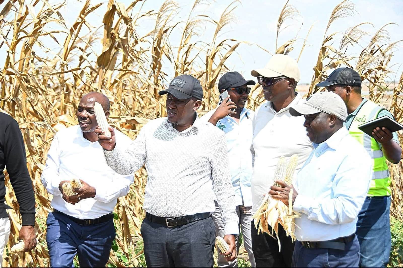 Galana-Kulalu irrigation scheme poised to transform Kenya’s food security