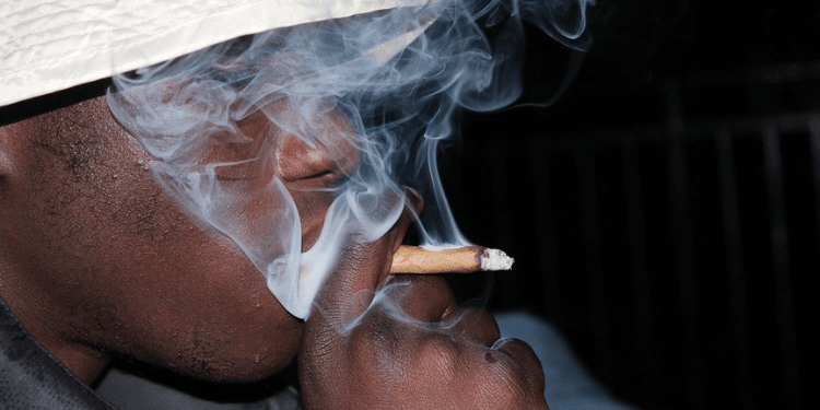 New NACADA Report Reveals Cannabis Dominates Even as New Drugs Emerge
