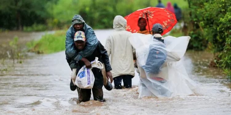 Nairobi Among 29 Counties Set to Receive Rainfall This Week