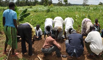 Western farmers eye increased yields with training