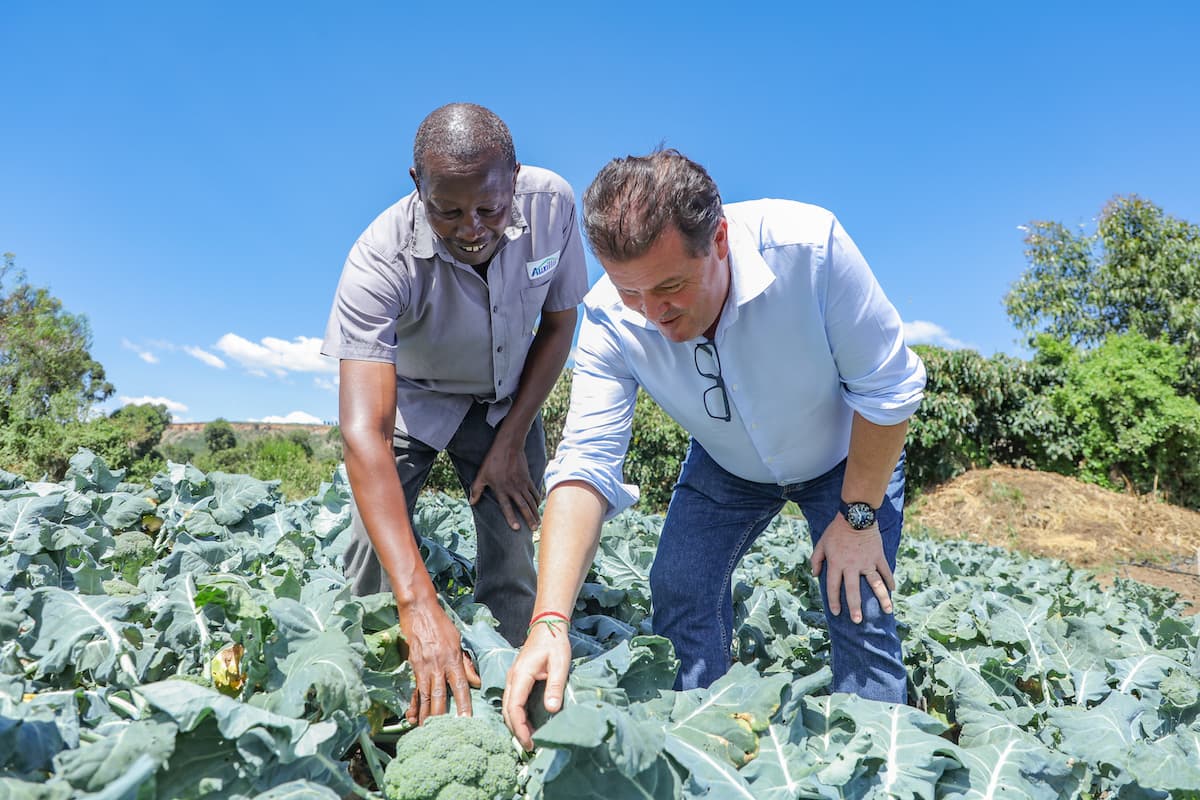 For Carrefour, Unique Partnership Puts Farm-Fresh Vegetables on Shelves