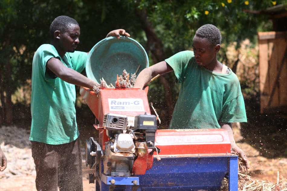 15,000 sorghum and bean farmers find market power in collective groups