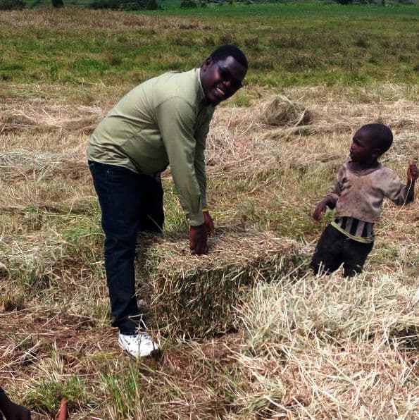 Agriculture ministry urges farmers to make own animal feeds to reduce production costs of milk