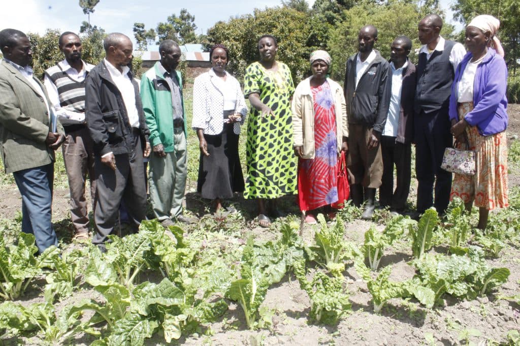 Experts training Nakuru County farmers on organic farming