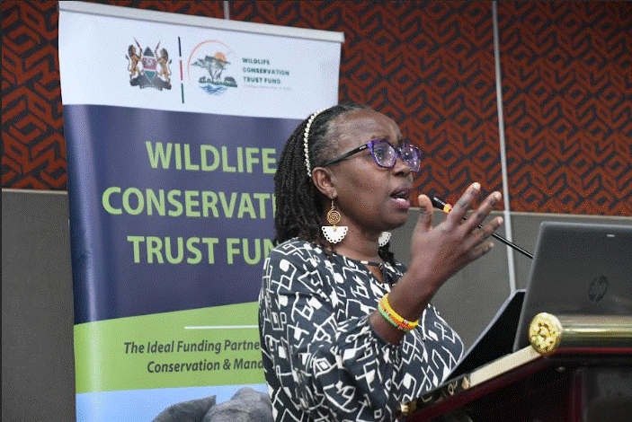 Wildlife Trust Fund to prioritize community livelihoods, human-wildlife conflict